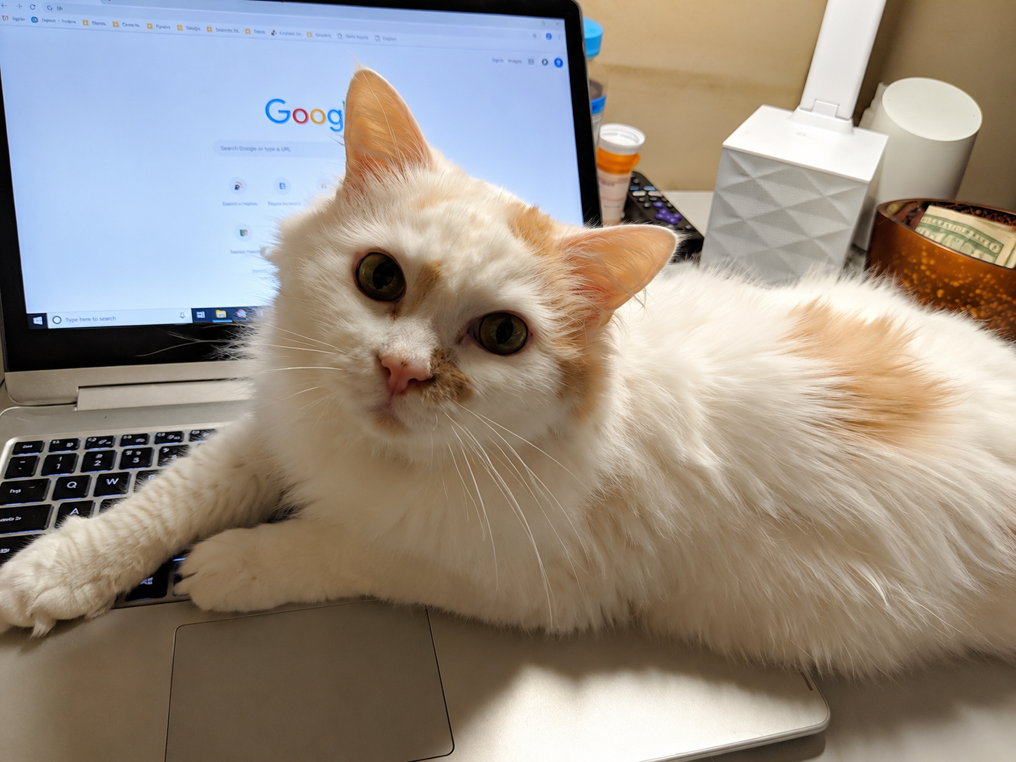 Pouncival